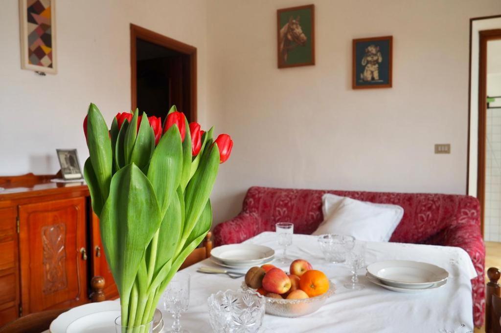 Casa Volpe Apartment Magliano Alfieri Екстериор снимка