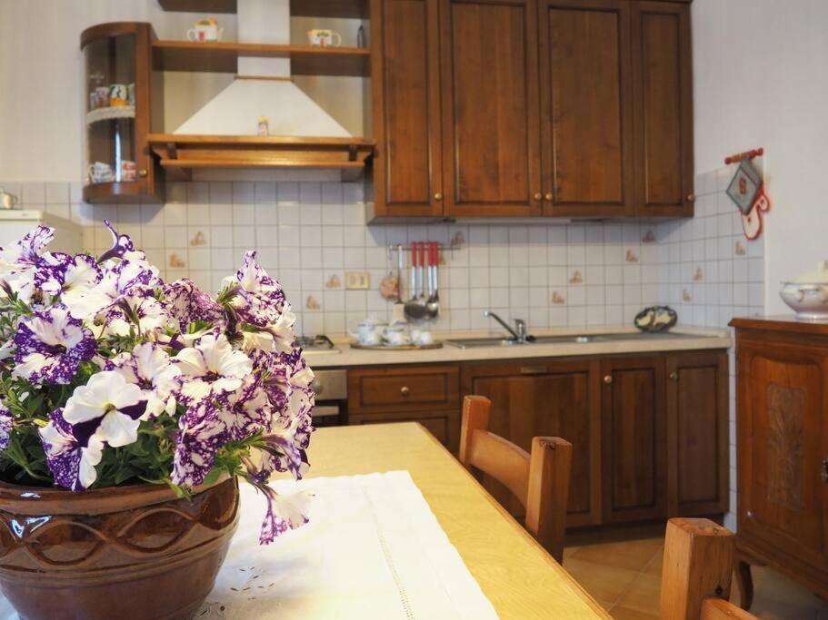 Casa Volpe Apartment Magliano Alfieri Екстериор снимка